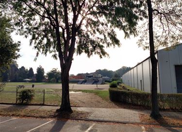 Denk mee over nieuwe invulling van sportveld - Beringen