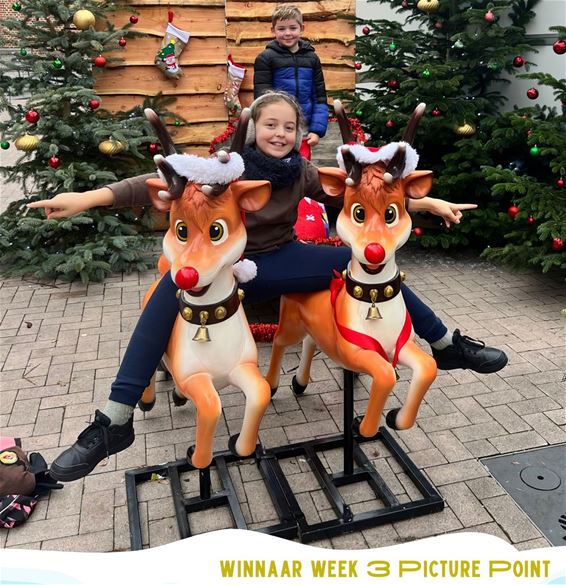 Derde winnaars Picture Point aan ijspiste bekend - Bree