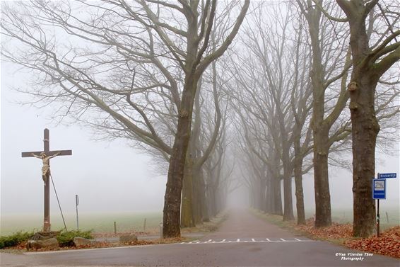 Dichte mist zorgt voor sfeervolle beelden - Hamont-Achel