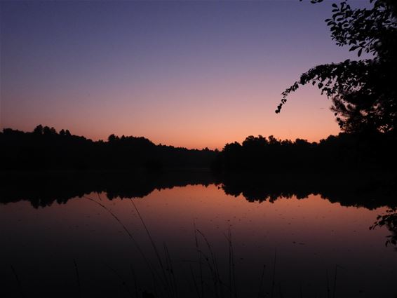 Die heerlijke zomerzon - Lommel