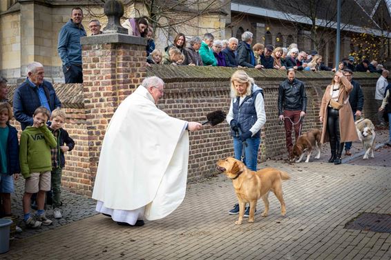 Dierenwijding en feestweekend in Neerglabbeek - Oudsbergen