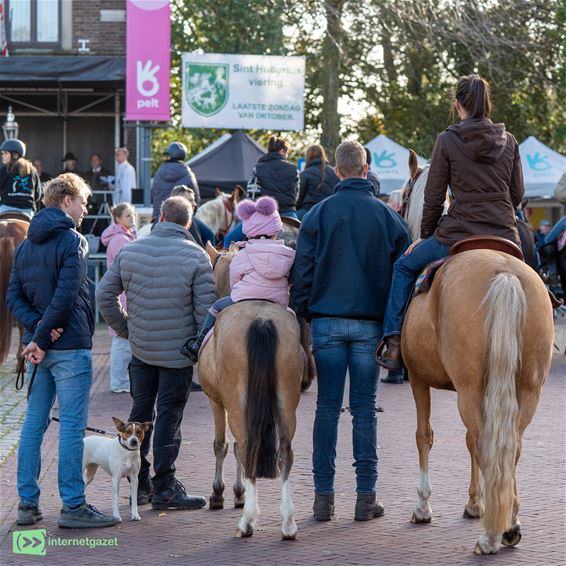 Dierenzegening onder een stralend herfstzonnetje - Pelt