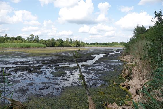 Dijkbreuk Hageven wordt hersteld - Pelt