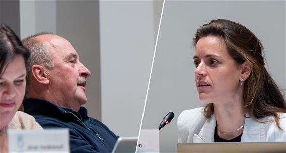 Pelt - Discussie over Lago Dommelslag