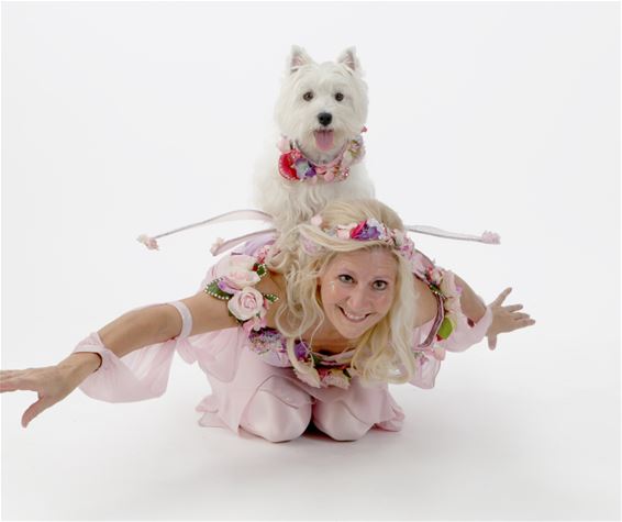 Dit weekend staan honden centraal in Koersel - Beringen
