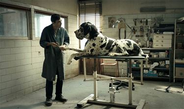 'Dogman' in Cinema Walburg - Hamont-Achel