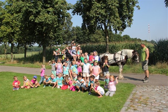 Met paard en koets bij SPW-Lille - Neerpelt