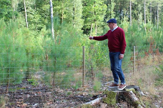 Domein Hoeverheide gaat exotisch - Houthalen-Helchteren