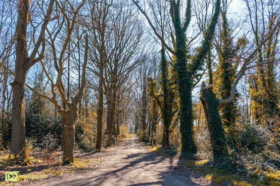 Donderslaghoeve weg, wandelplezier blijft - Oudsbergen