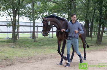 Drie Lommelaren op WK 'Jonge paarden' - Lommel