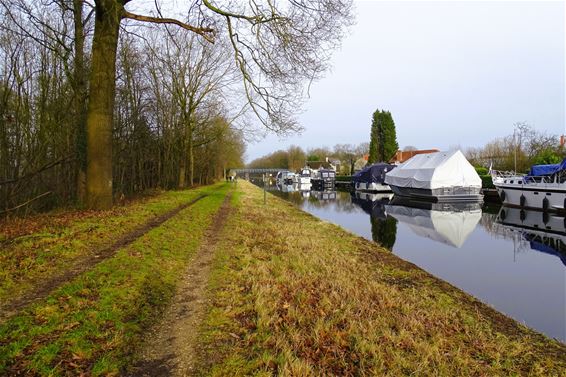 Driekoningenwandeling in De Vennen - Lommel