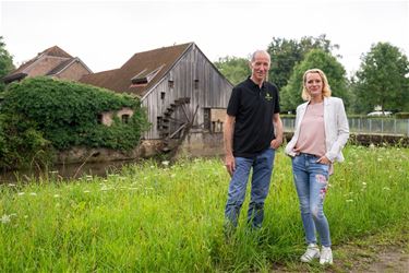 Duivelse Maten en Molens op Dag van de Wijers - Genk