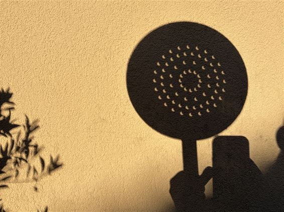 Eclips duikt op in vergiet en water - Pelt
