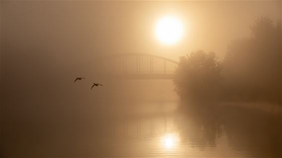 Een beetje mist, fotografen houden ervan - Lommel