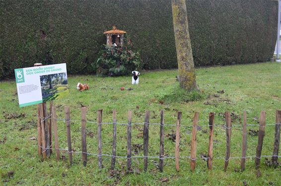 Een bijzondere kerststal op 't Hent - Pelt