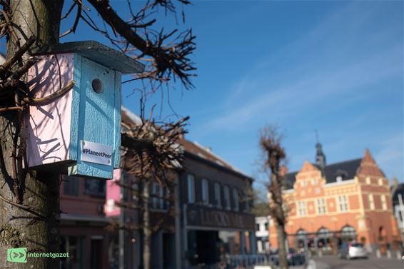 Peer - Een blauwe lucht over 'Planeet Peer'