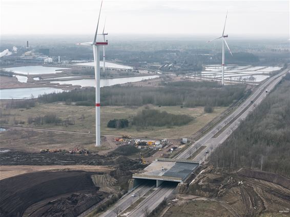 Een blik op het Ecoduct Waaltjesbos - Lommel