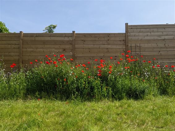 Een boost voor je tuin? Peer helpt je op weg! - Peer