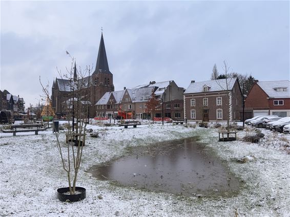 Een dun sneeuwlaagje kan ook glad zijn - Pelt