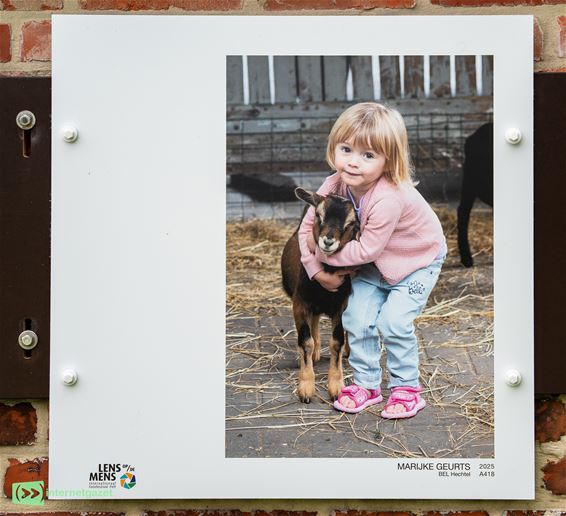 Een foto van een Hechtel-Ekselse in Pelt - Hechtel-Eksel