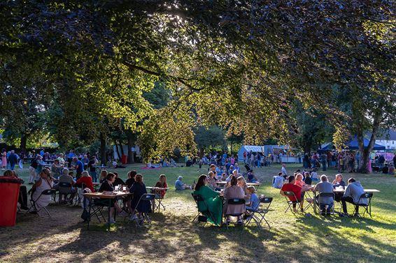 Een gezellig zomers 'Wereldfeest in het park' - Lommel