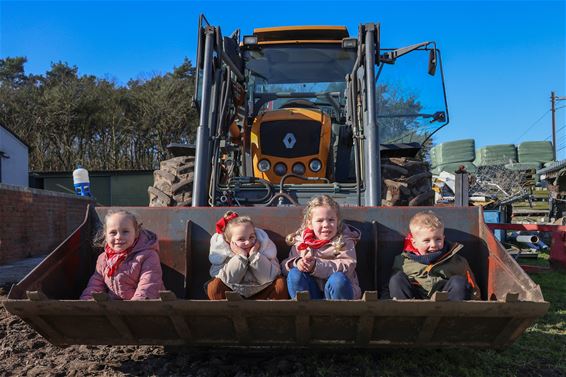 Een heerlijk vakantiegevoel bij Het Groeiveld - Lommel