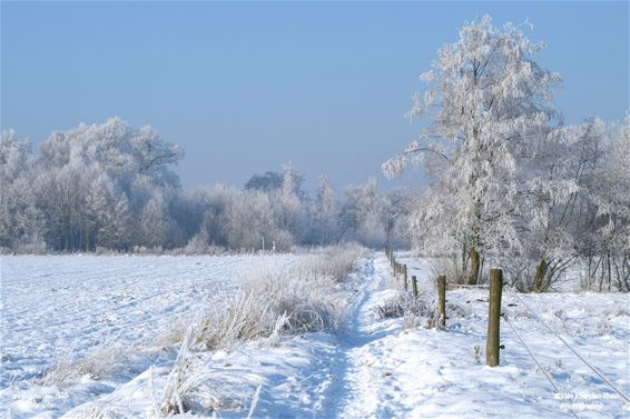 Een klassiek sneeuwplaatje - Hamont-Achel