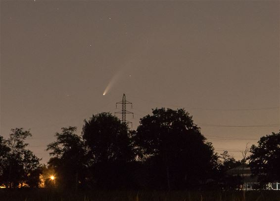Een komeet aan de horizon - Pelt