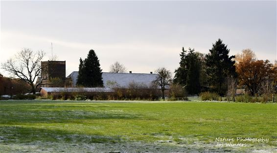 Een laagje sneeuw over de Torenhoeve - Peer