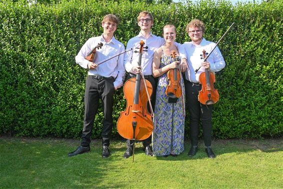 Een openluchtconcert met strijkkwartet - Lommel