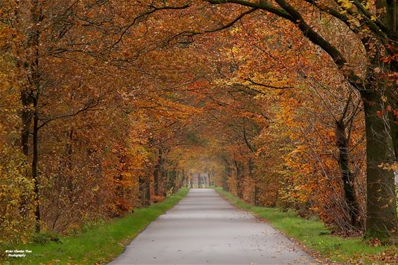 Hamont-Achel - Een prachtig herfst-afdak