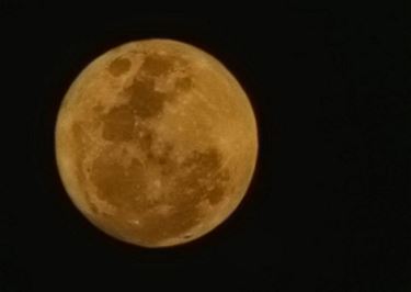 Bocholt - Een prachtige volle maan vanavond