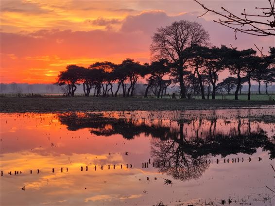 Een prachtige zonsopgang boven Wijchmaal - Peer