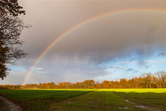 Een regenboog boven het Lindel - Pelt