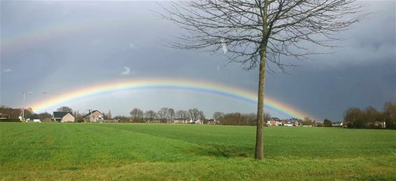 Een regenboog boven Pelt - Pelt