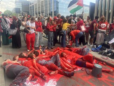 Een rode lijn voor Gaza - Beringen