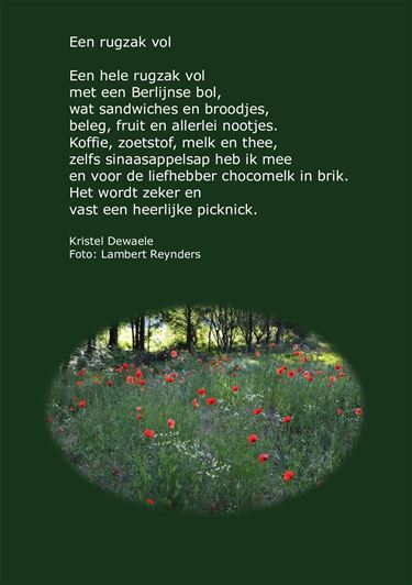 Beringen - Een rugzak vol