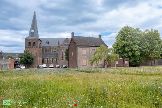Een streling voor het oog