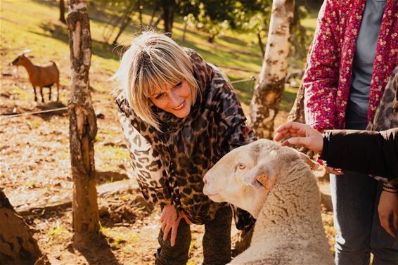 Een stukje winst naar dierenopvang - Beringen