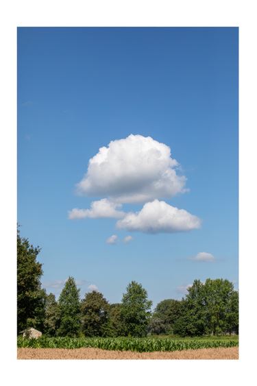 Een surrealistische wolk? - Lommel