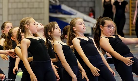 Een volle sporthal voor de dansstudio - Lommel