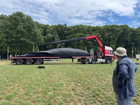 Een walvis schilderen op Pukkelpop? Dat kan! - Hechtel-Eksel