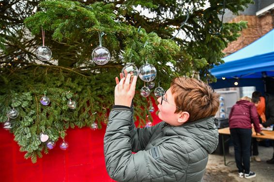 Een Wensboom vol kinderwensen - Lommel