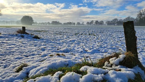 Een winters tafereel op de Winterdijk - Pelt