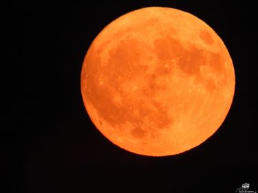 Lommel - Een zoete volle maan aan de zomerhemel