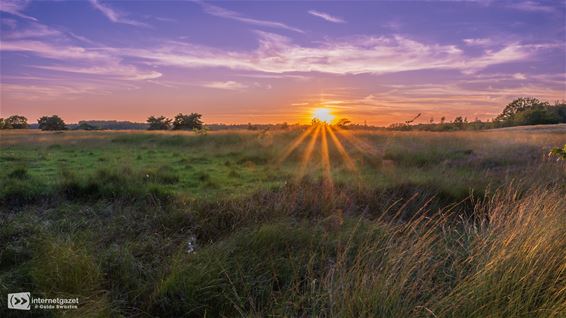 Een zomer op het Hageven - Pelt