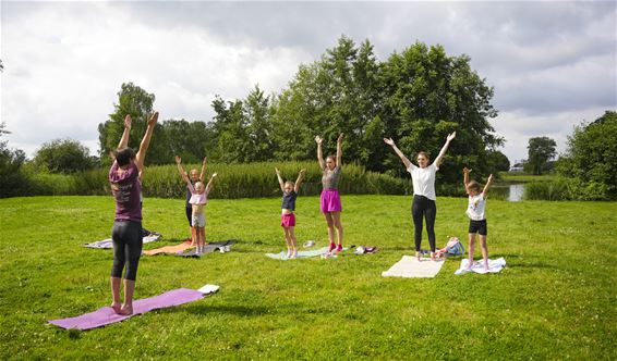 Beringen - Een zomer vol sport