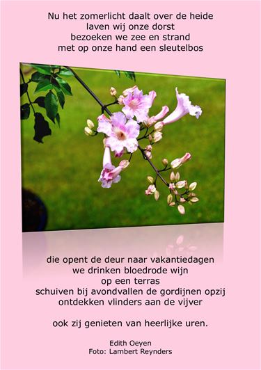Beringen - Een zomers gedicht