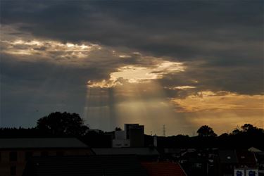 Een zonnig dagje in het verschiet - Beringen