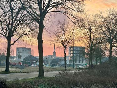 Een zonnige start - Beringen